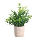 Planta Potted Grass 22Cm Chitose